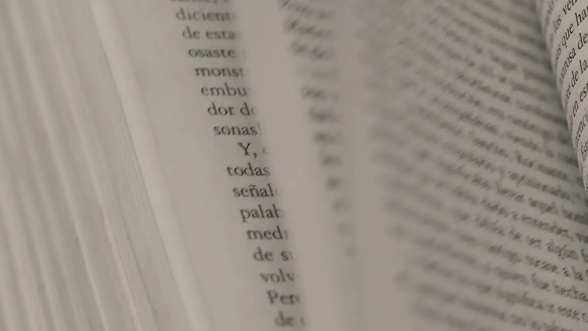 Pages of an open book, close up