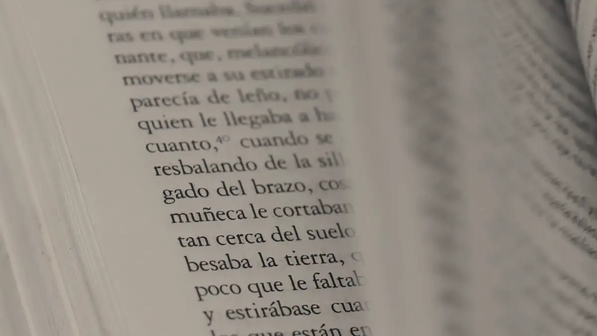 Pages of an open book, close up