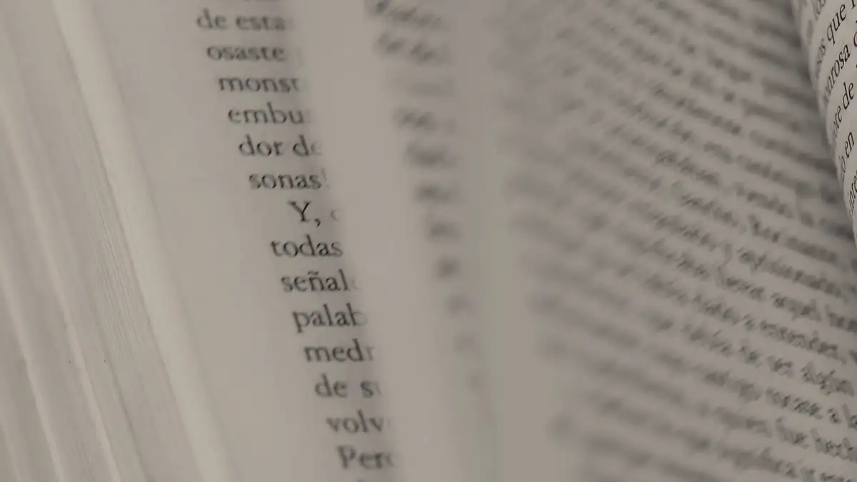 Pages of an open book, close up