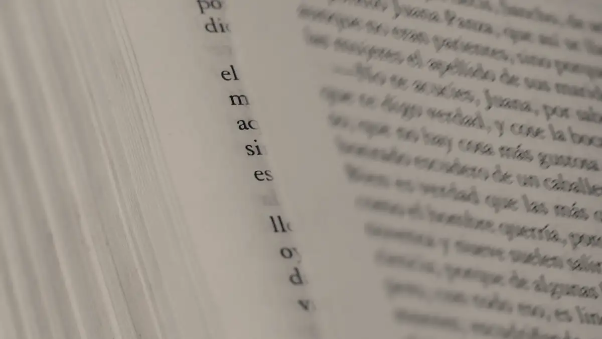 Pages of an open book, close up