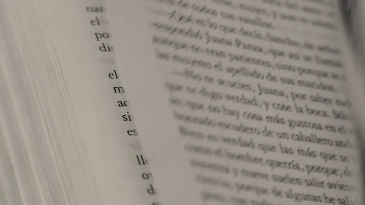 Pages of an open book, close up