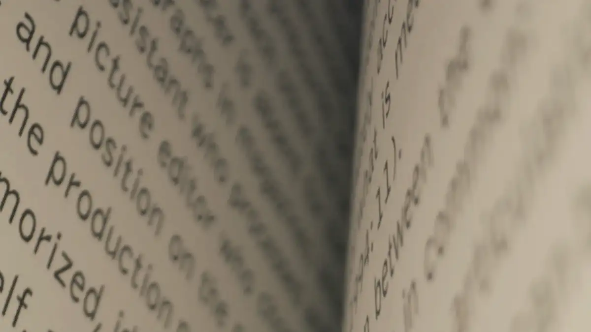 An open book, close up