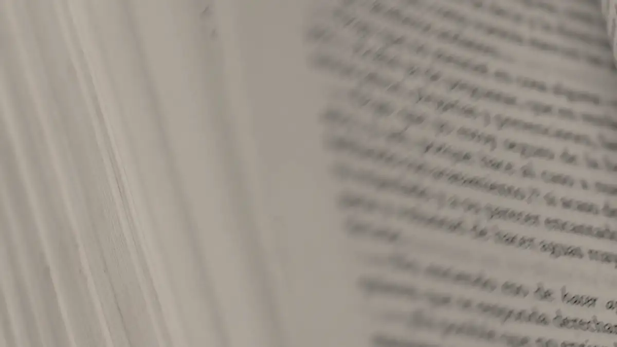 Pages of an open book, close up