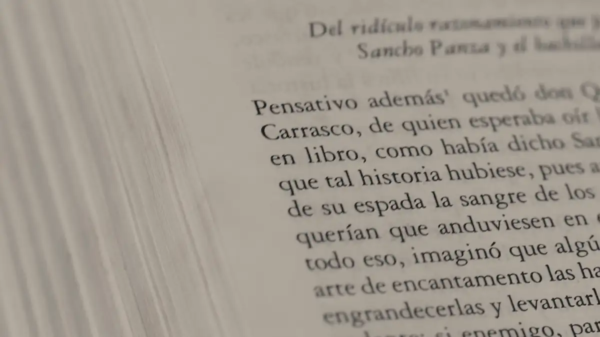 Pages of an open book, close up