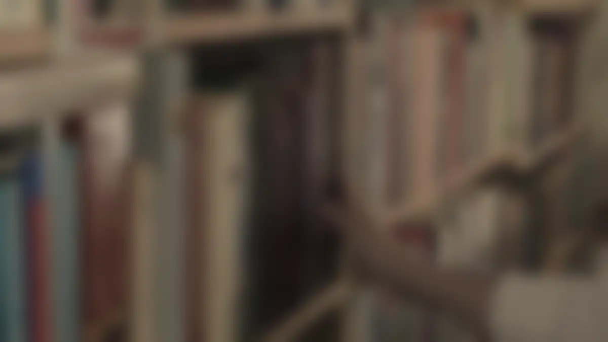 Bookshelves in a library, softly blurred