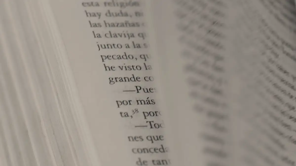 Pages of an open book, close up