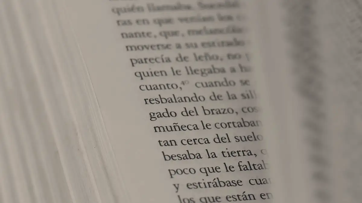 Pages of an open book, close up
