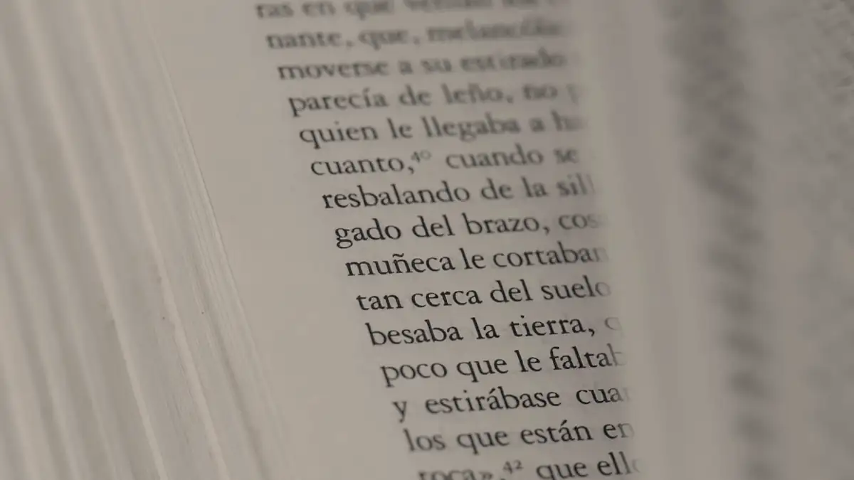 Pages of an open book, close up