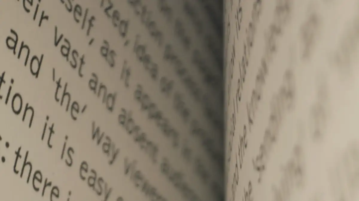 An open book, close up