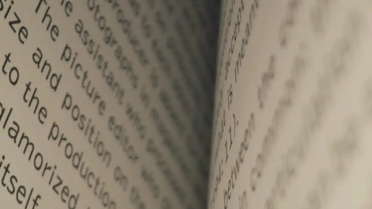 An open book, close up